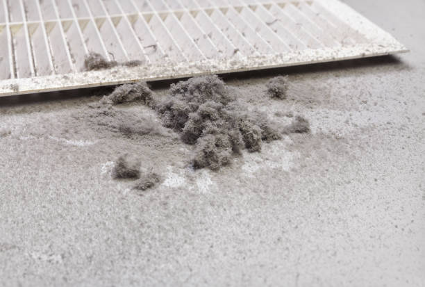 Best HVAC System Cleaning  in Central City, IA