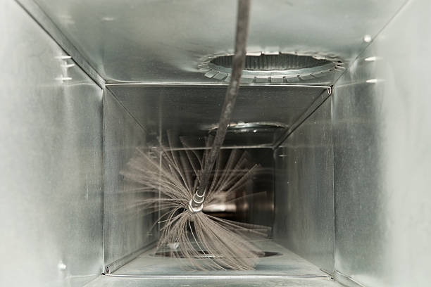 Best Air Duct Mold Removal  in Central City, IA