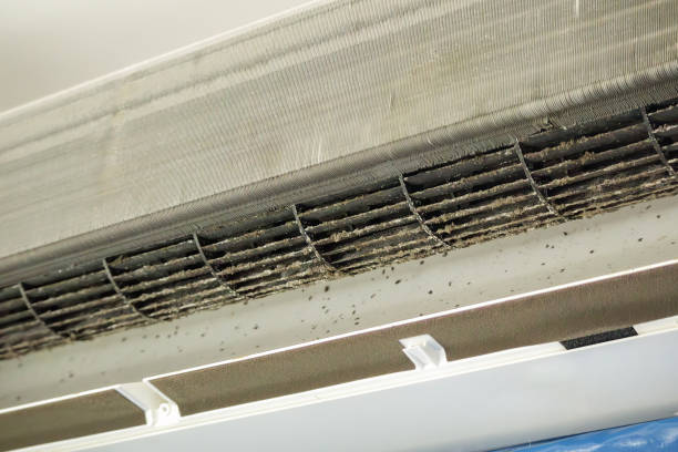 Best Air Duct Cleaning Near Me in IA